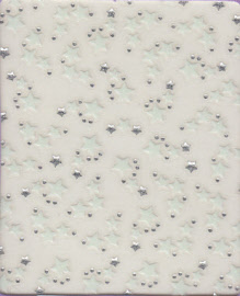 ff-sti_jf_010